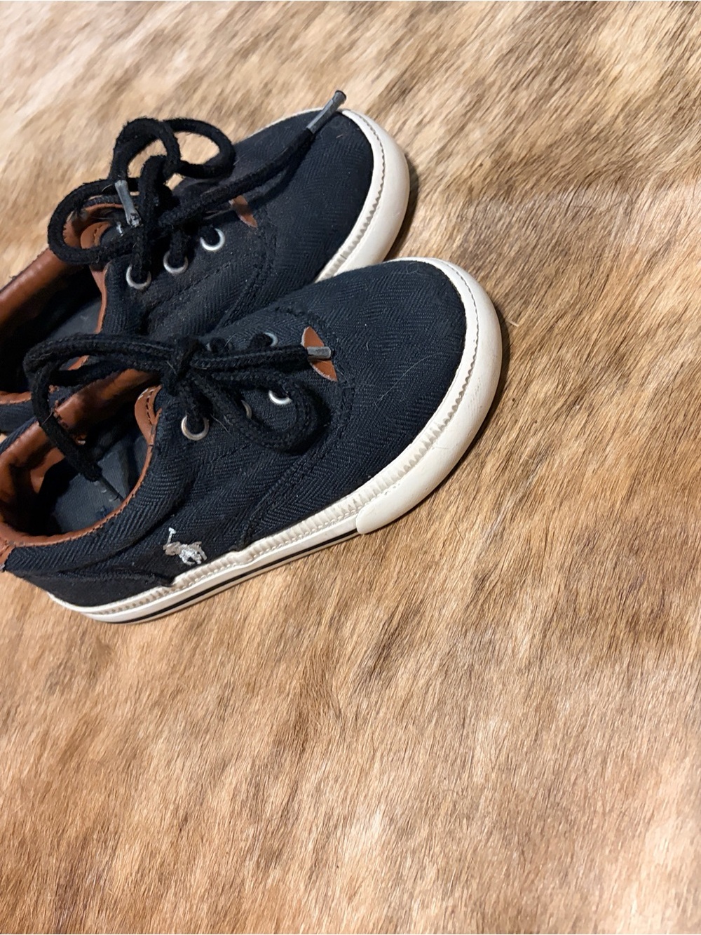 Polo by Ralph Lauren Black Canvas Kids Lace-Up Sneakers with White Sole